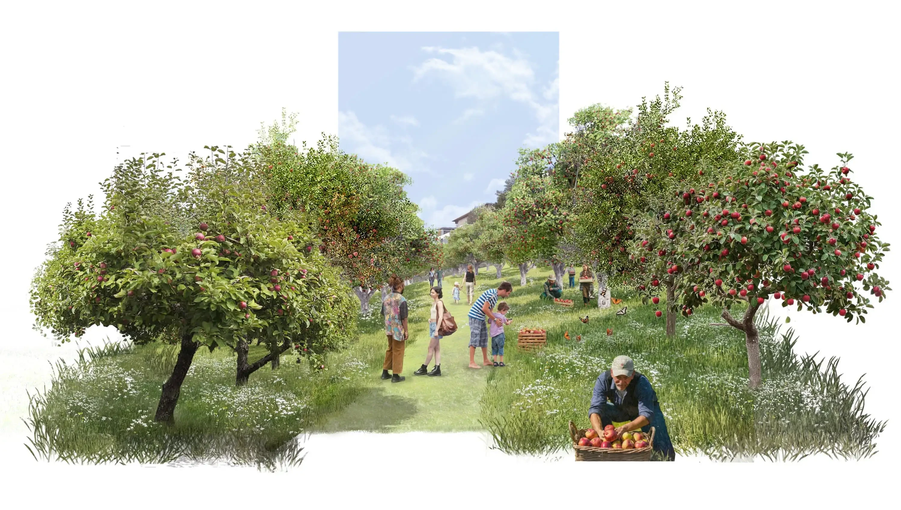 Description of first image